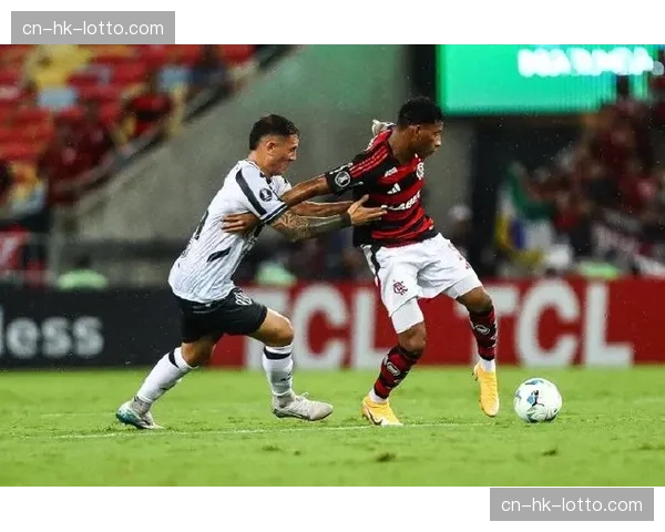 解放者杯：弗拉门戈主场小胜，占据小组出线主动权